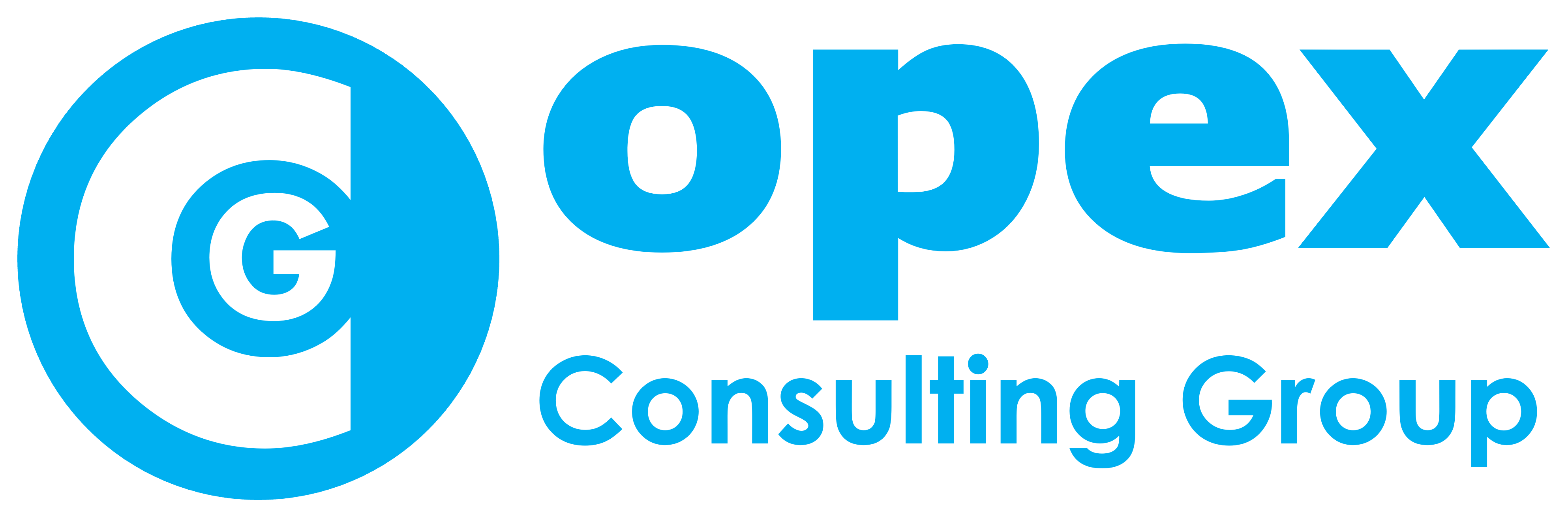 Opex Consulting Group